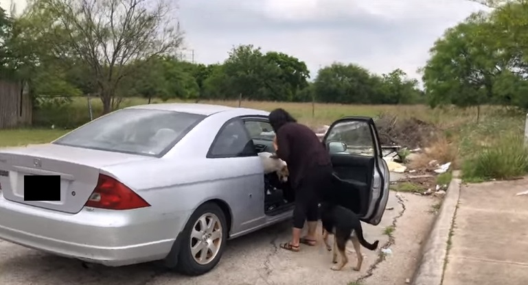 EUA. Mulher apanhada em flagrante a abandonar quatro cães | VÍDEO