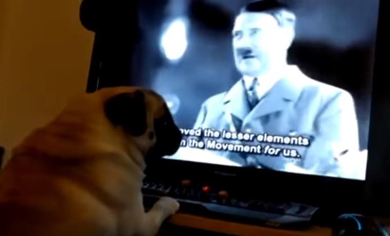 Youtuber condenado por filmar cão a fazer saudação nazi | Vídeo