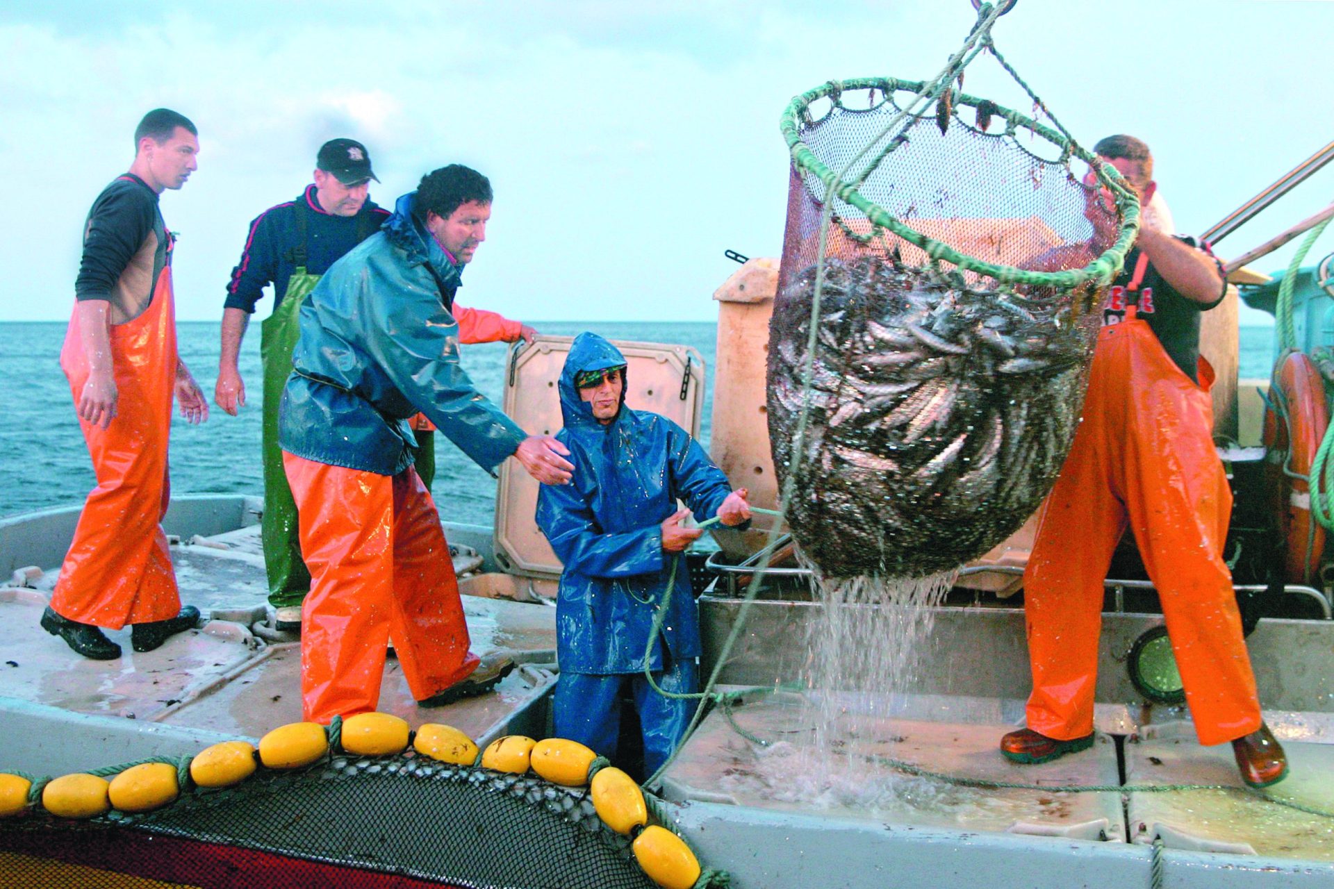 Sardinha. Afinal, pesca continua a ser proibida até dia 20 de maio
