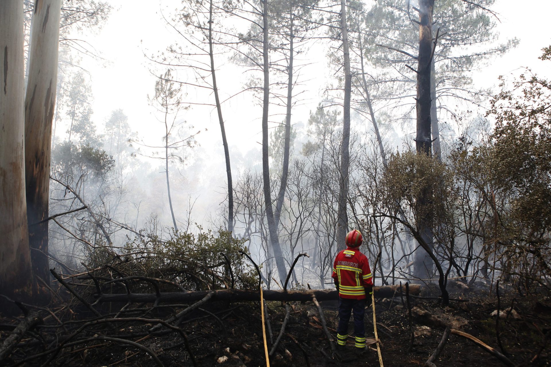 Alerta. Há cinco concelhos de Portugal em risco muito elevado de incêndio