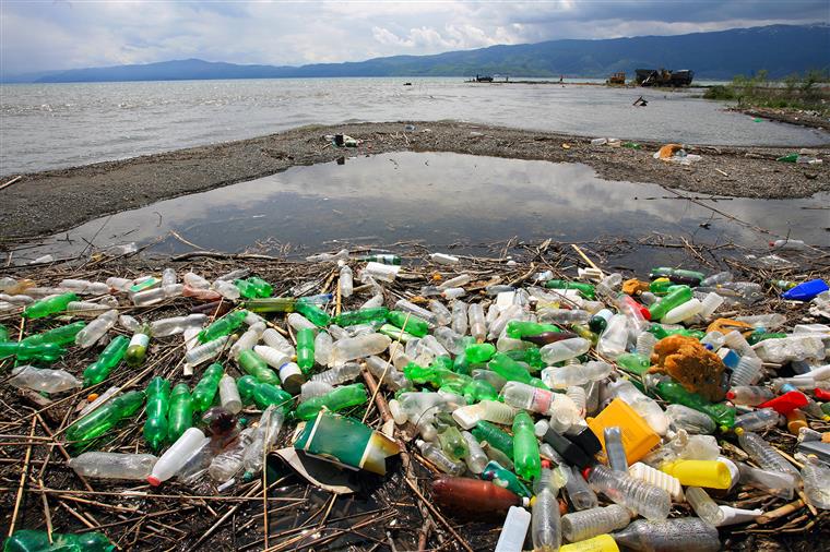 Comissão Europeia quer proibir cotonetes e palhinhas de plástico para reduzir lixo nos mares