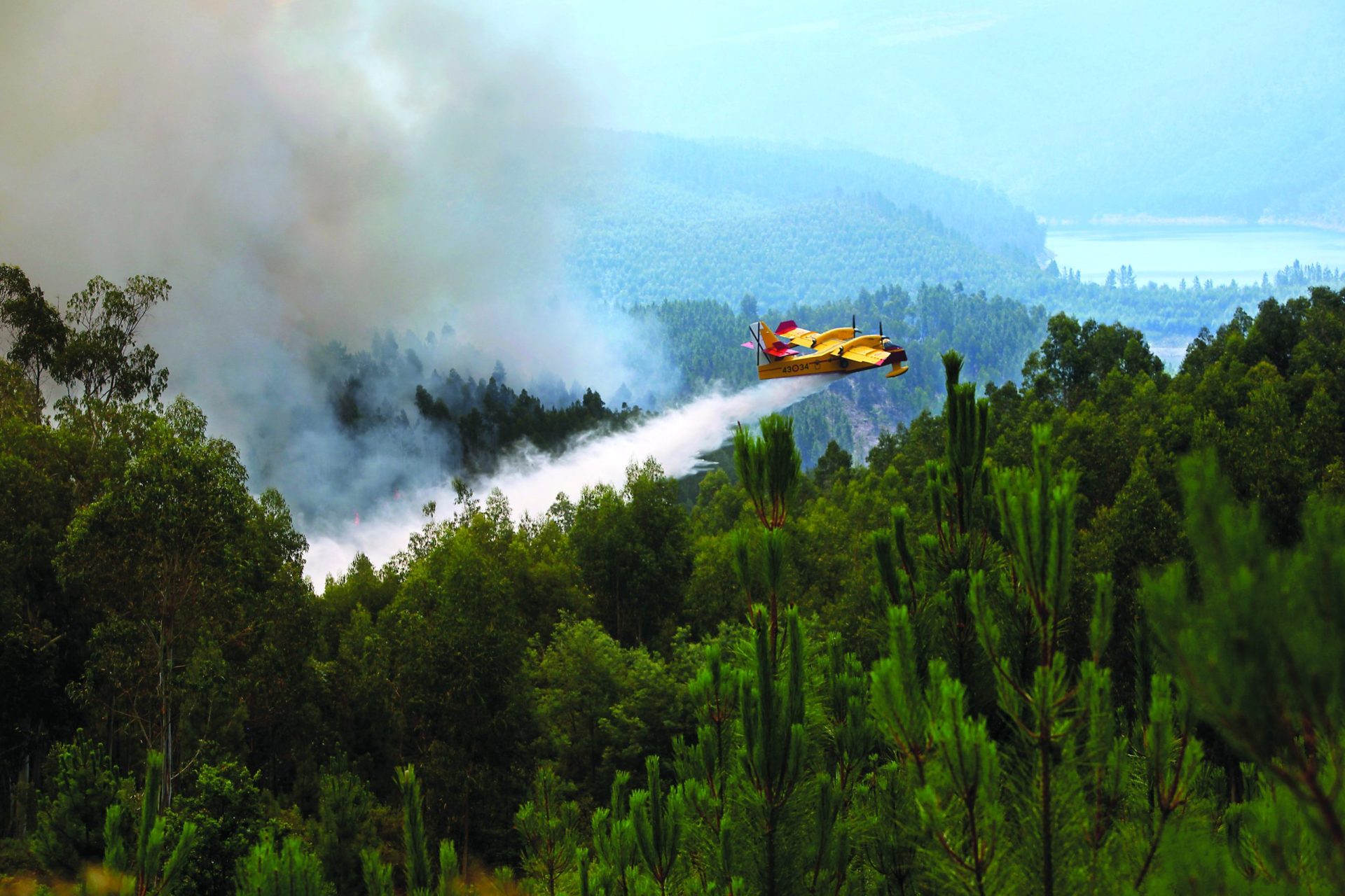 Proteção Civil. Desde 2006 que Portugal não tem em maio tão poucos aviões disponíveis para combater incêndios