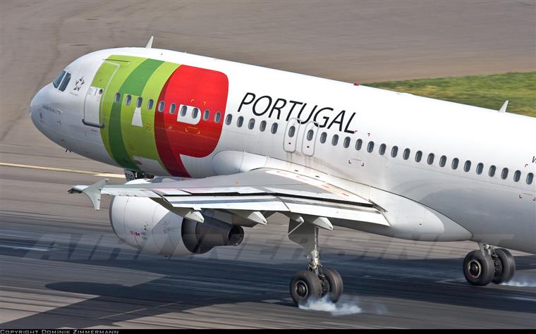 Cão morre em porão de avião da TAP enquanto viajava de Madrid para o Porto | Foto