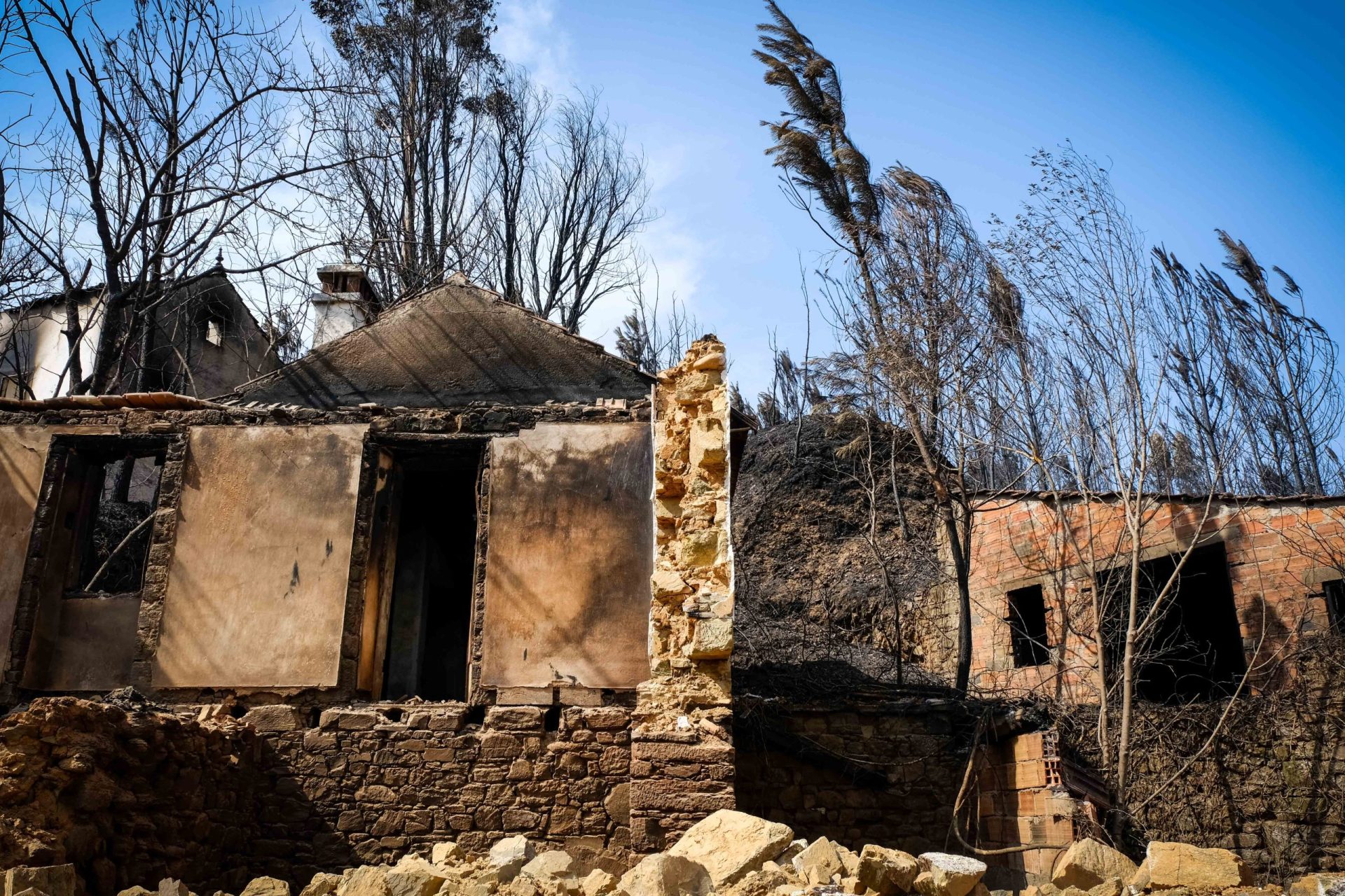 Incêndios. 132 empresas multadas por falta de limpeza