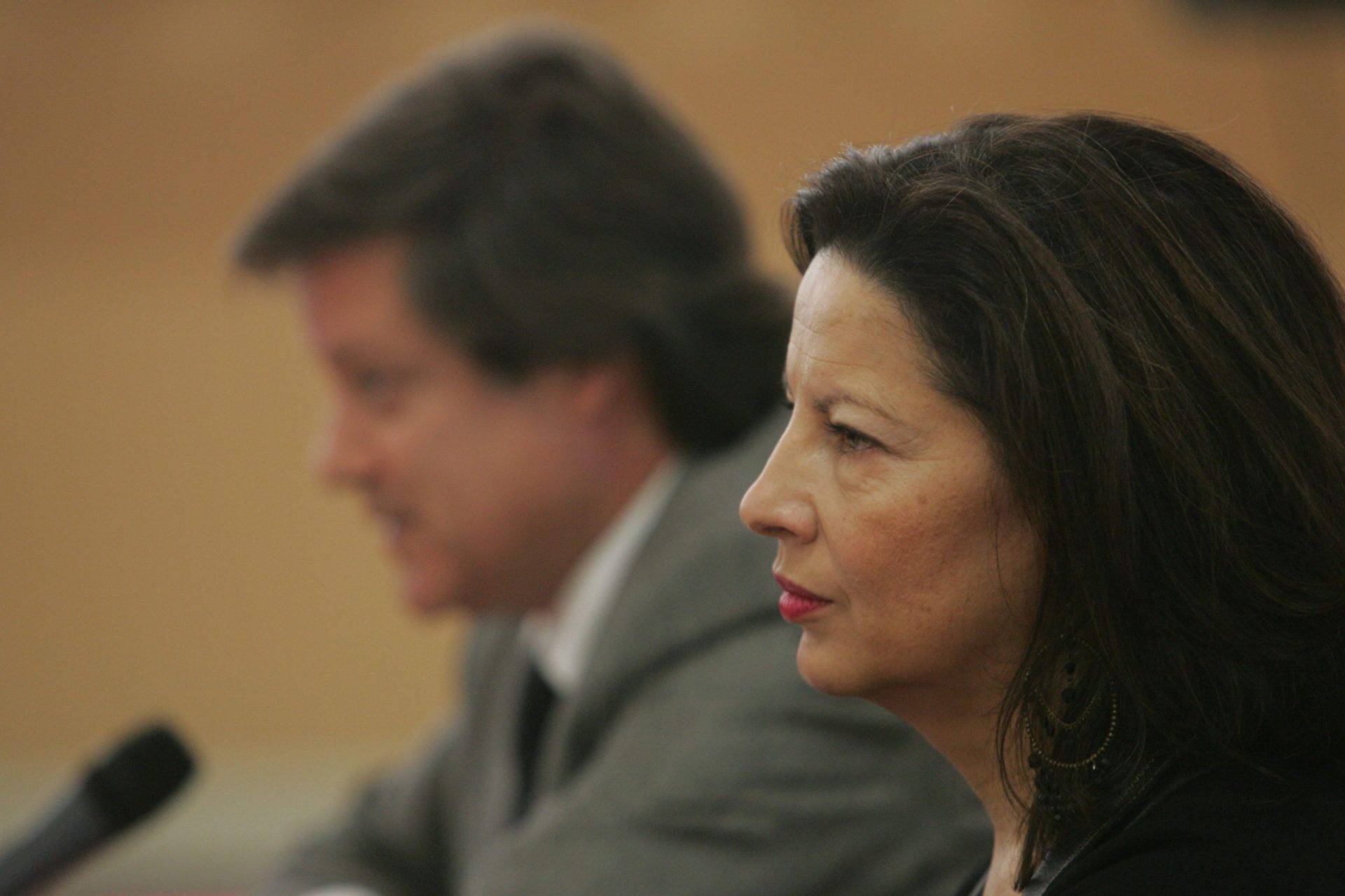 Gabriela Canavilhas abandona parlamento