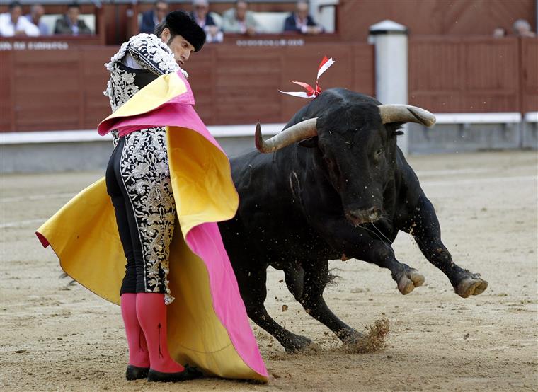 Póvoa de Varzim. Aprovado o fim de touradas no concelho