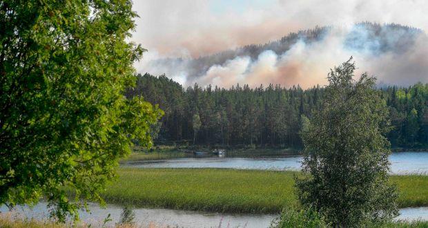 Incêndios. Suécia pede ajuda à UE