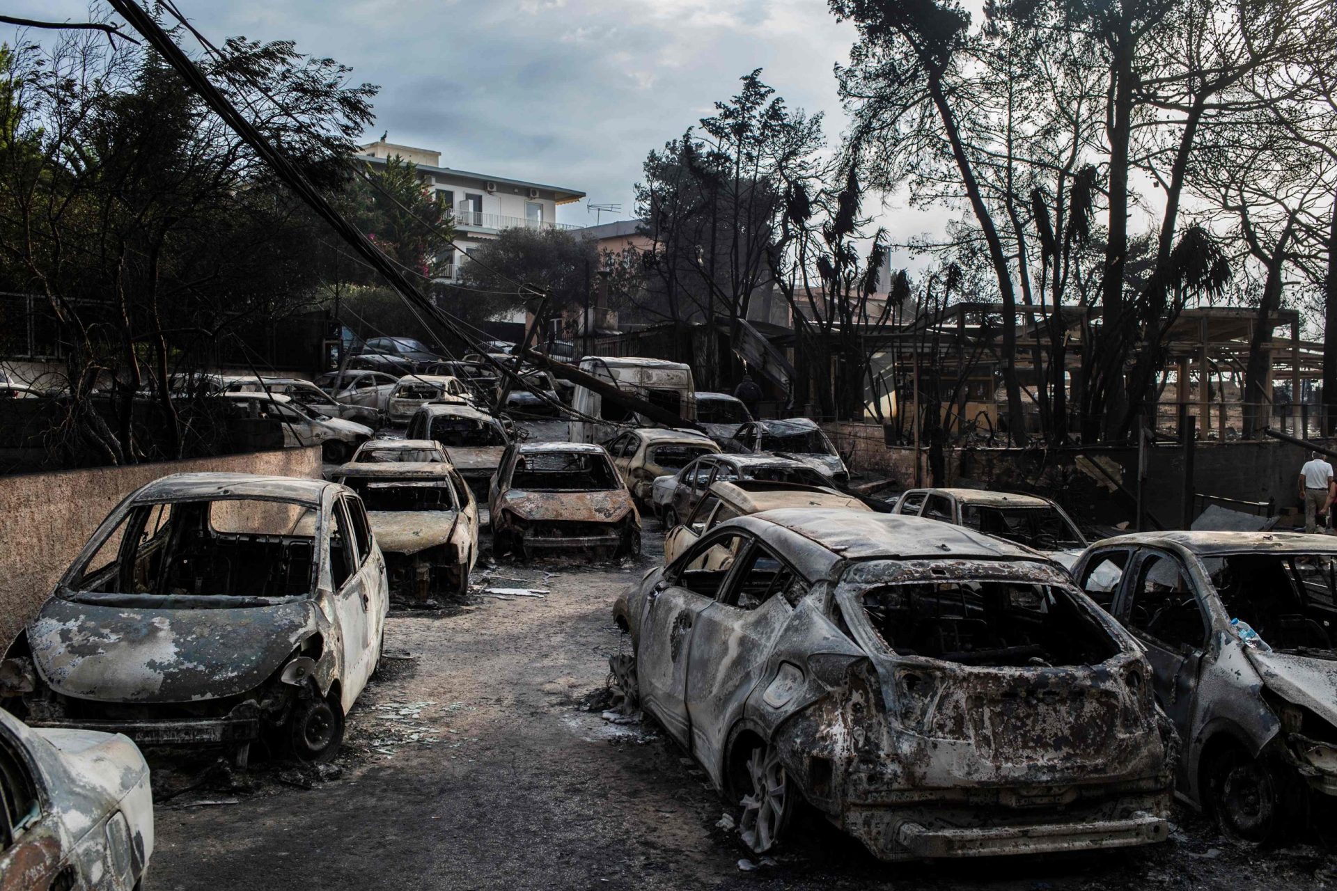 Incêndios na Grécia: A tragédia em imagens | Fotogaleria