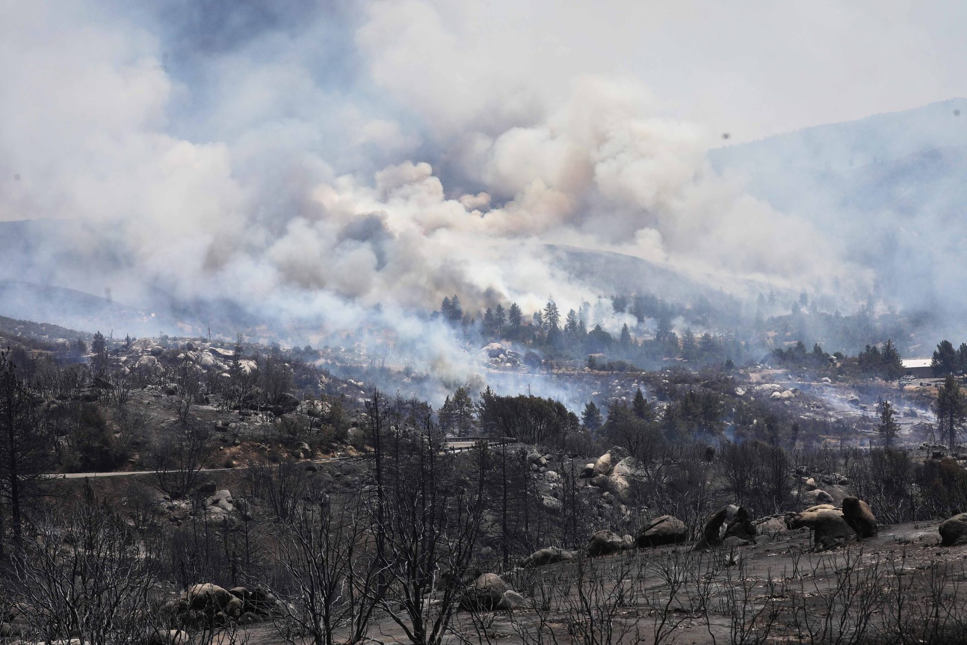 Califórnia. Pelo menos 15 habitações destruídas pelas chamas, incêndio está descontrolado