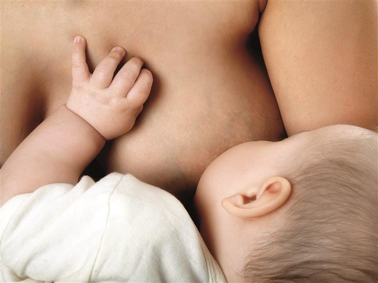 OMS e Unicef. 78 milhões de recém-nascidos não são amamentados na primeira hora de vida