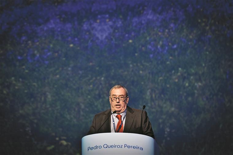 Pedro Queiroz Pereira. Morte de magnata português investigada em Espanha