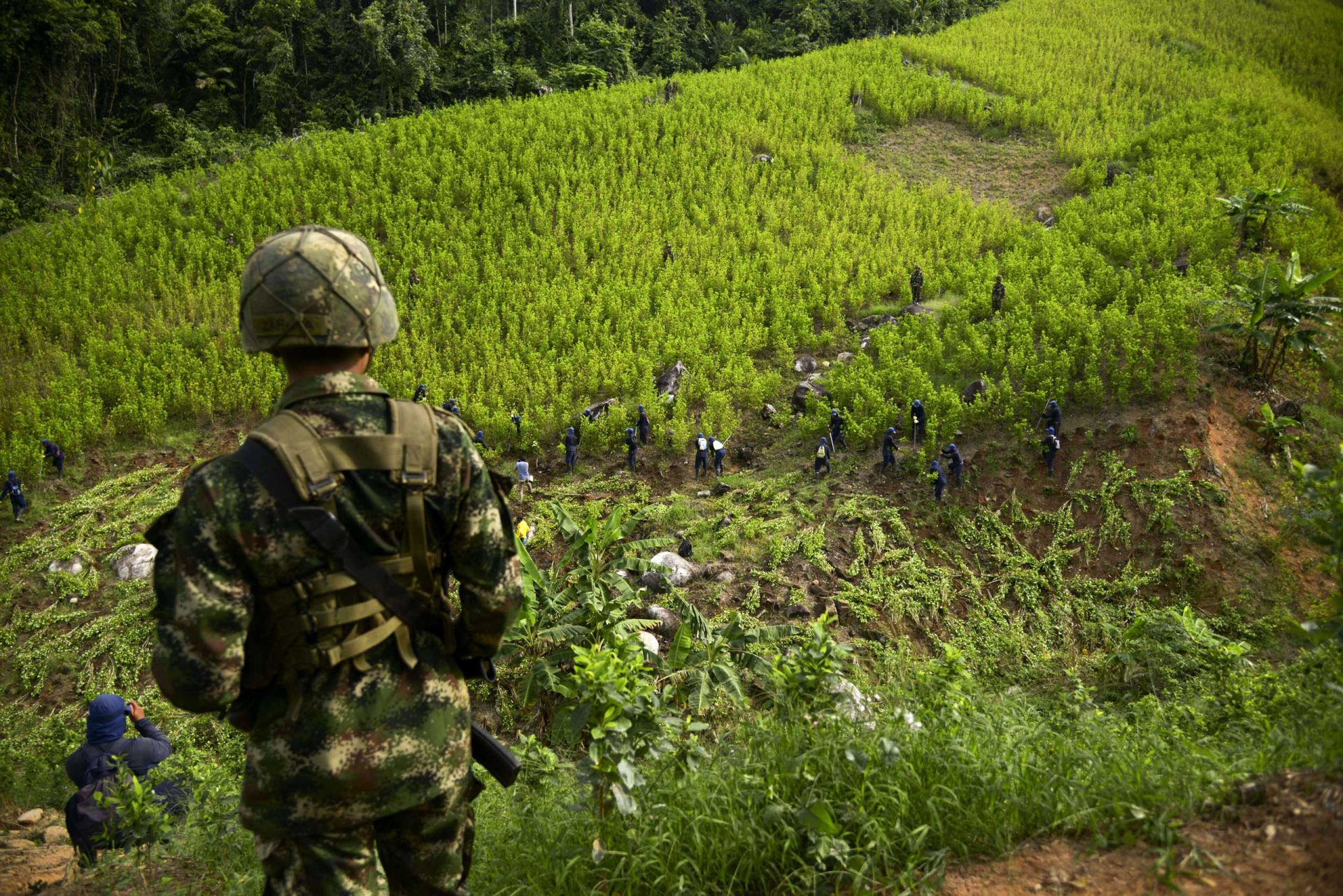 Colômbia usa drones para destruir plantações de coca