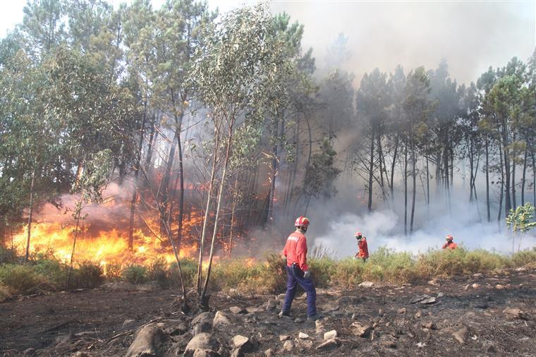 Vários concelhos de 10 distritos encontram-se hoje em risco máximo de incêndio