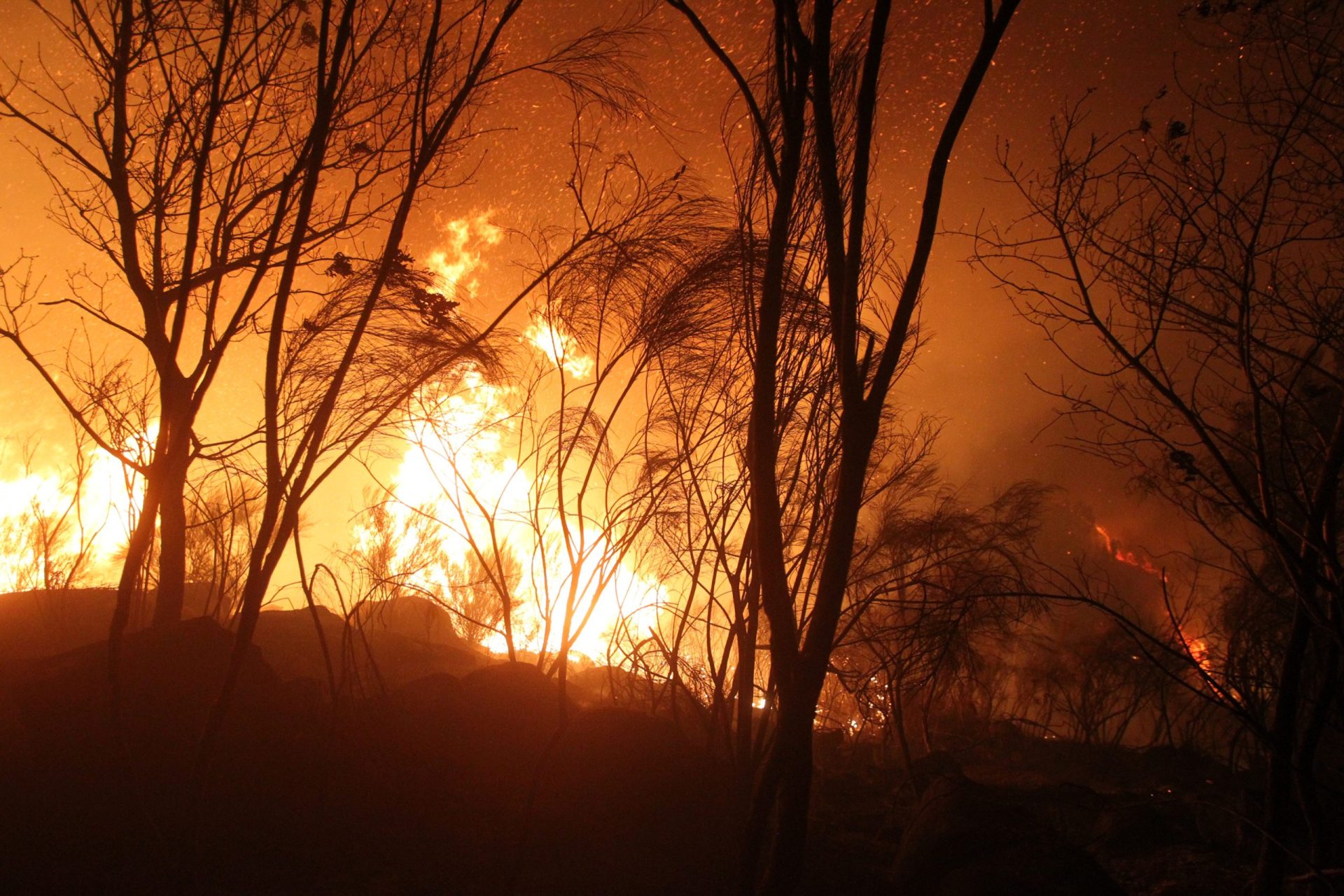 Incêndio no Parque Natural da Serra da Estrela