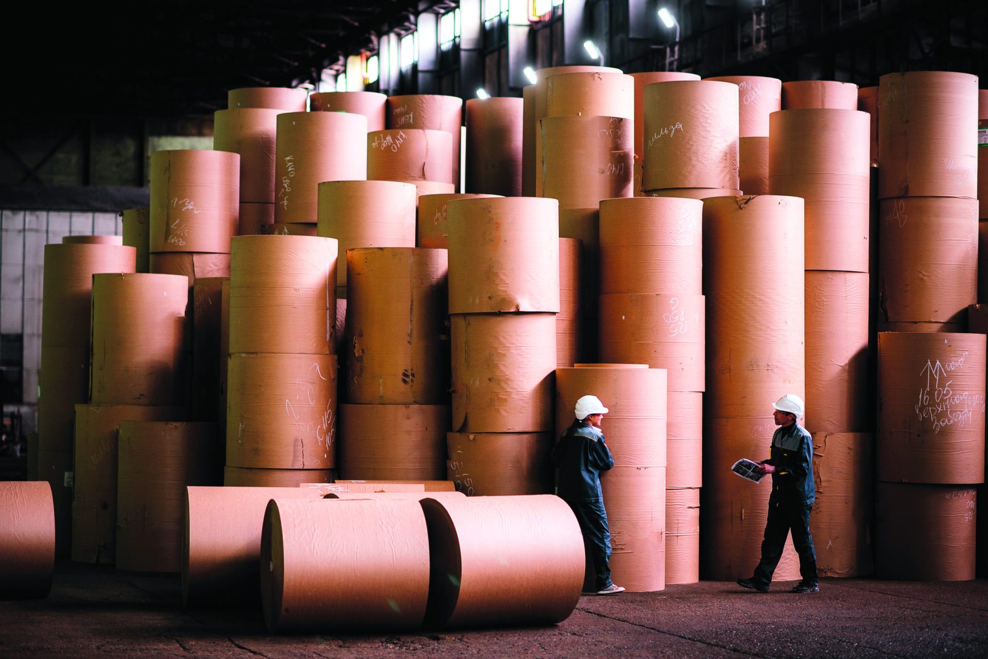 Exportações reforçam lucros na indústria do papel