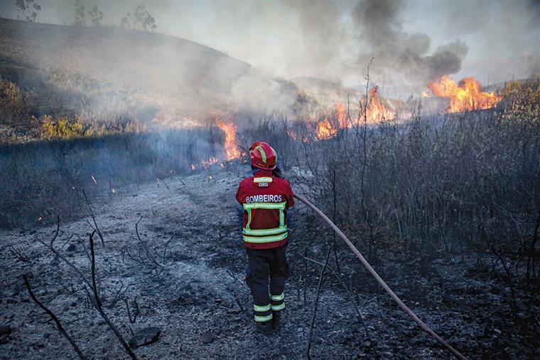 Cinco meios aéreos combatem incêndio em Monchique