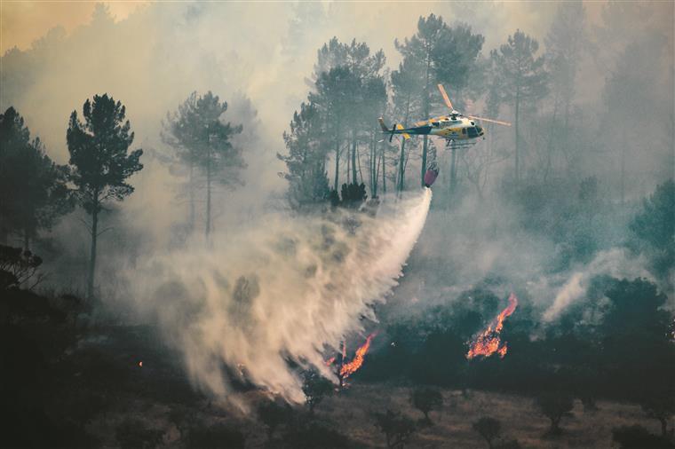 IPMA coloca sete concelhos de Portugal continental em risco máximo de incêndio