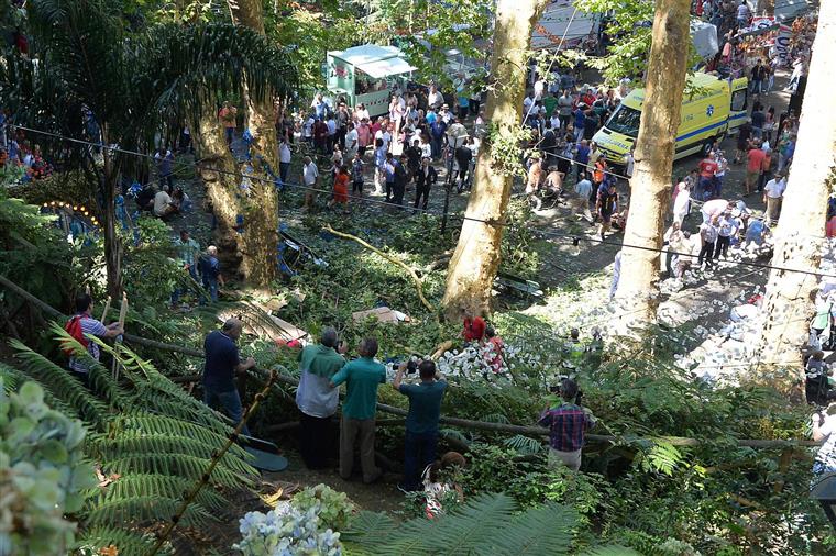 Câmara do Funchal aguarda esclarecimentos da queda de árvore que matou 13 pessoas, em 2017