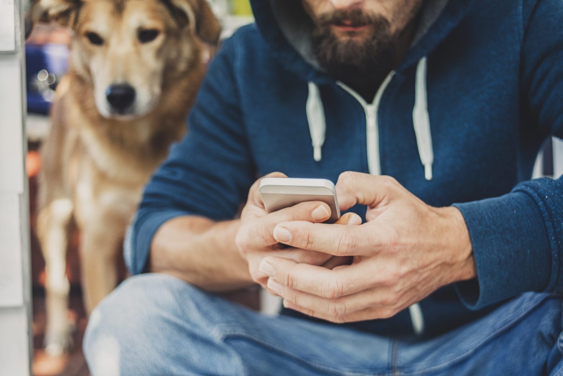 O uso excessivo do telemóvel pode estar a prejudicar o seu cão