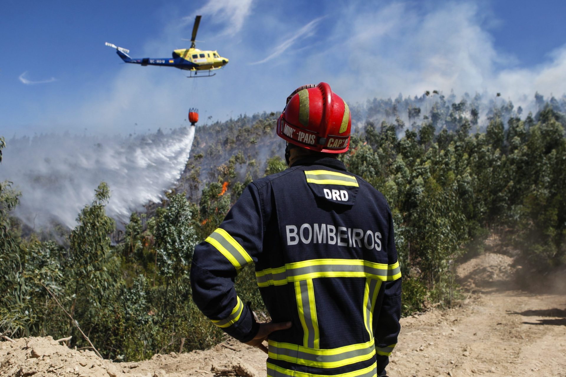 Mais de 250 bombeiros combatem incêndio em Alijó