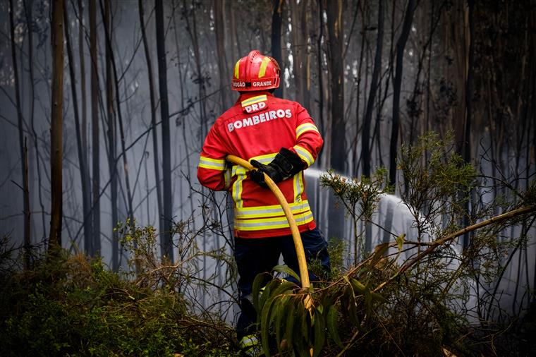 Bombeiros encontram corpo carbonizado durante combate a incêndio em Póvoa de Varzim
