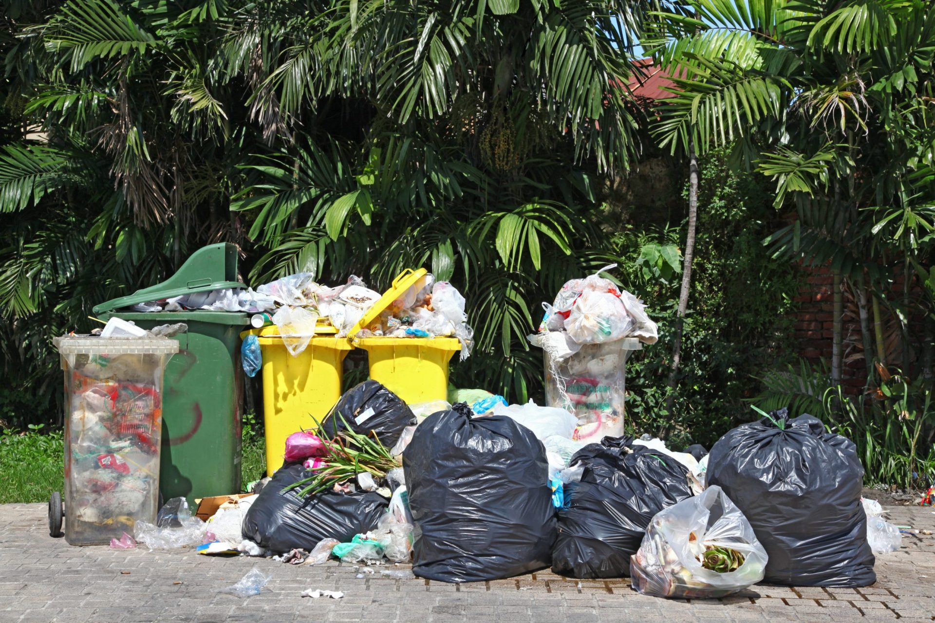 Munícipes de Vila Nova da Gaia vão deixar de pagar taxa de lixo