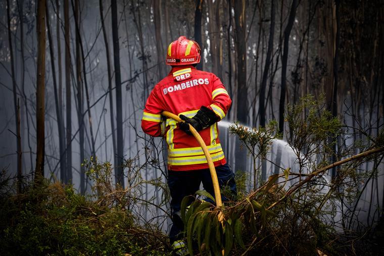 IPMA coloca quatro concelhos em risco máximo de incêndio