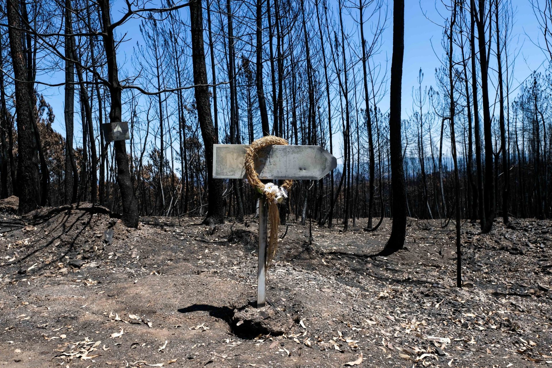 Pedrógão Grande. MP culpa Proteção Civil pelas mortes dos incêndios