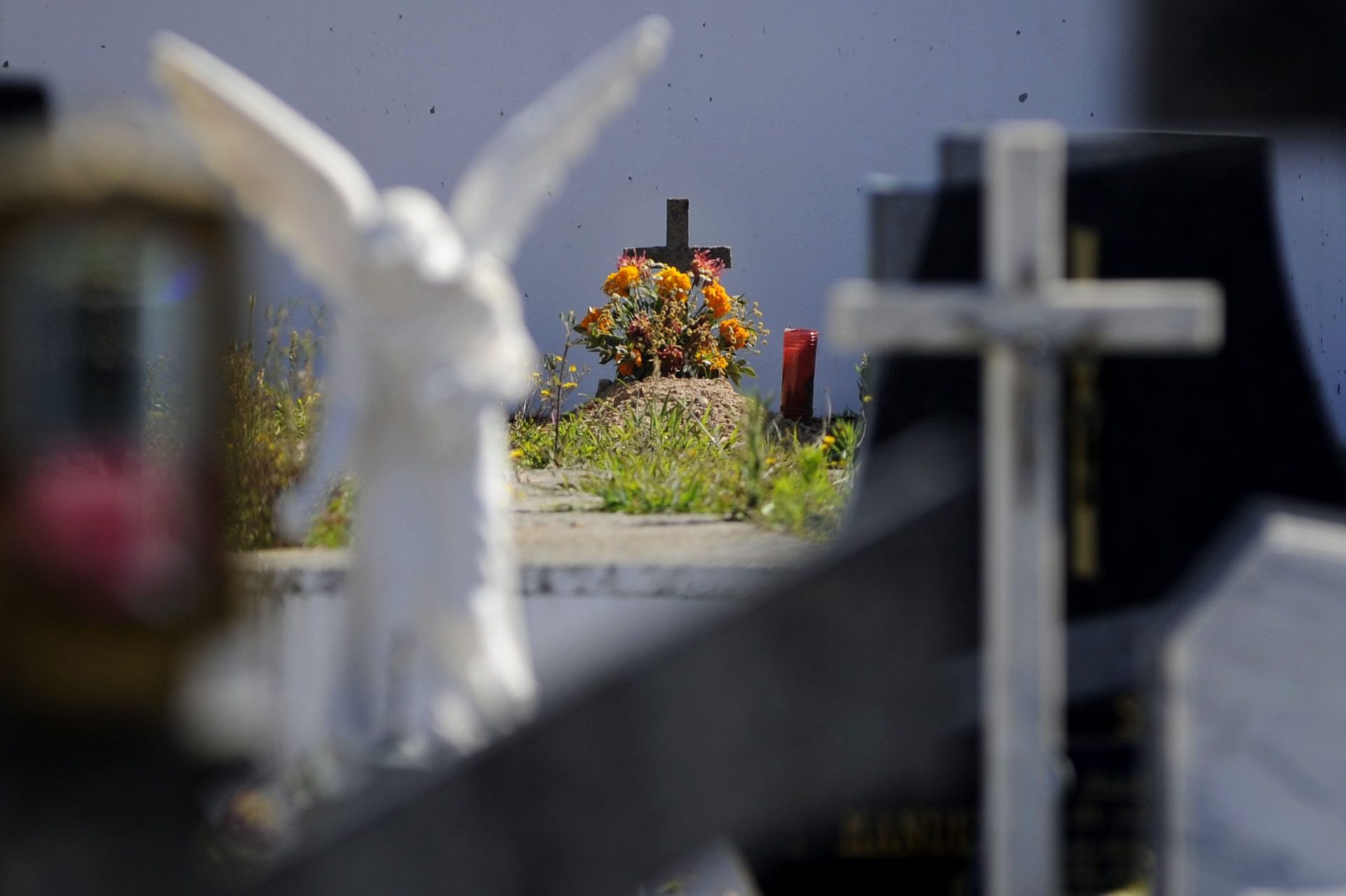 Furto de cadáveres em cemitério de Aveiro intriga autoridades