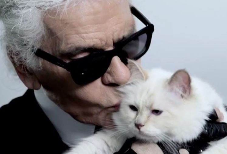 Será que a gata de Karl Lagerfeld pode ser a herdeira da fortuna do estilista?