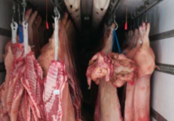 ASAE apreende sete toneladas de carne imprópria para consumo