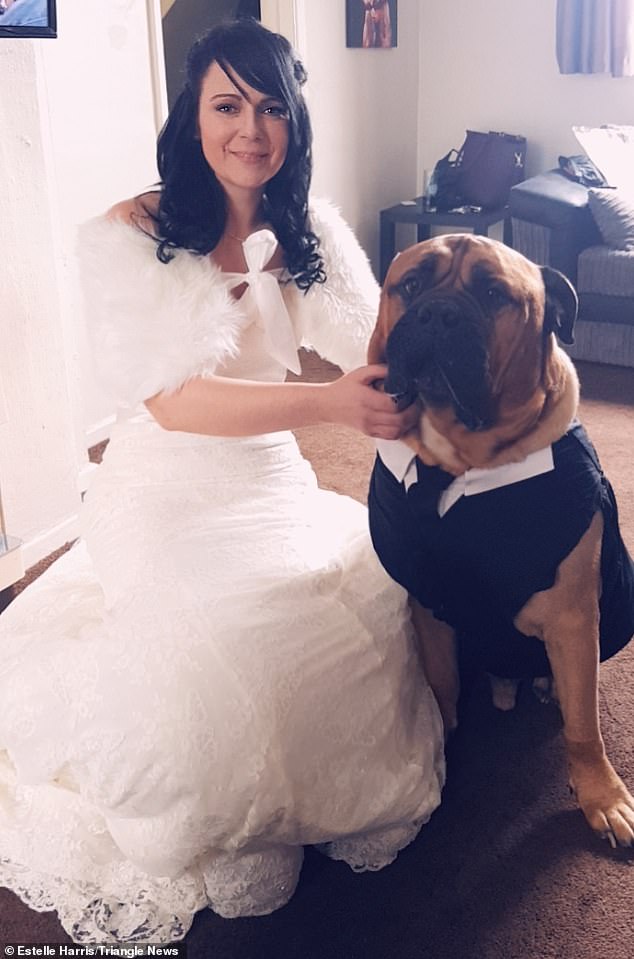 Noiva antecipa casamento quatro meses para que o seu cão com cancro terminal possa participar