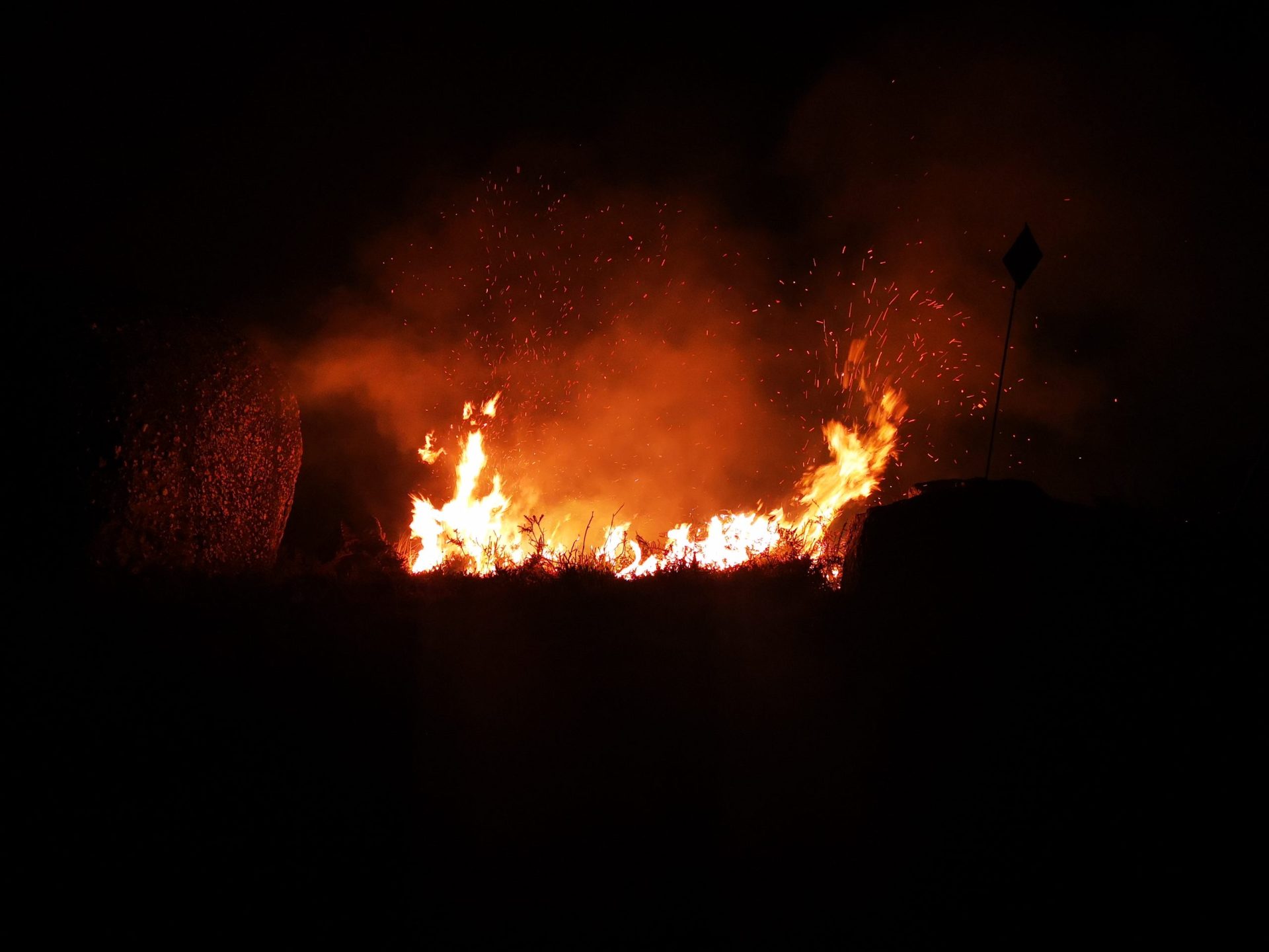 Incêndio florestal extinto em Vieira do Minho