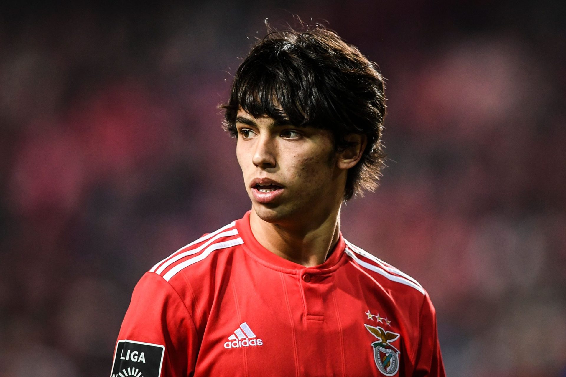 João Félix em risco no Benfica
