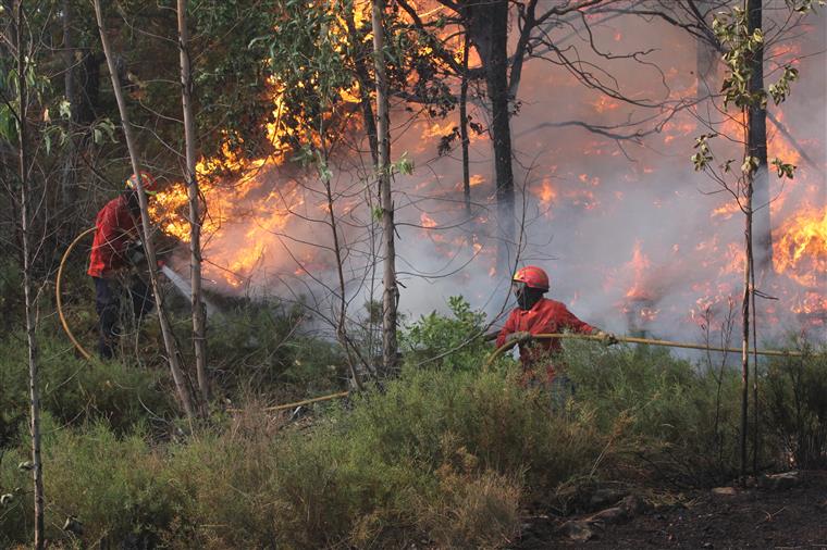 Um concelho do continente está em risco máximo de incêndio e outros 22 em risco muito elevado