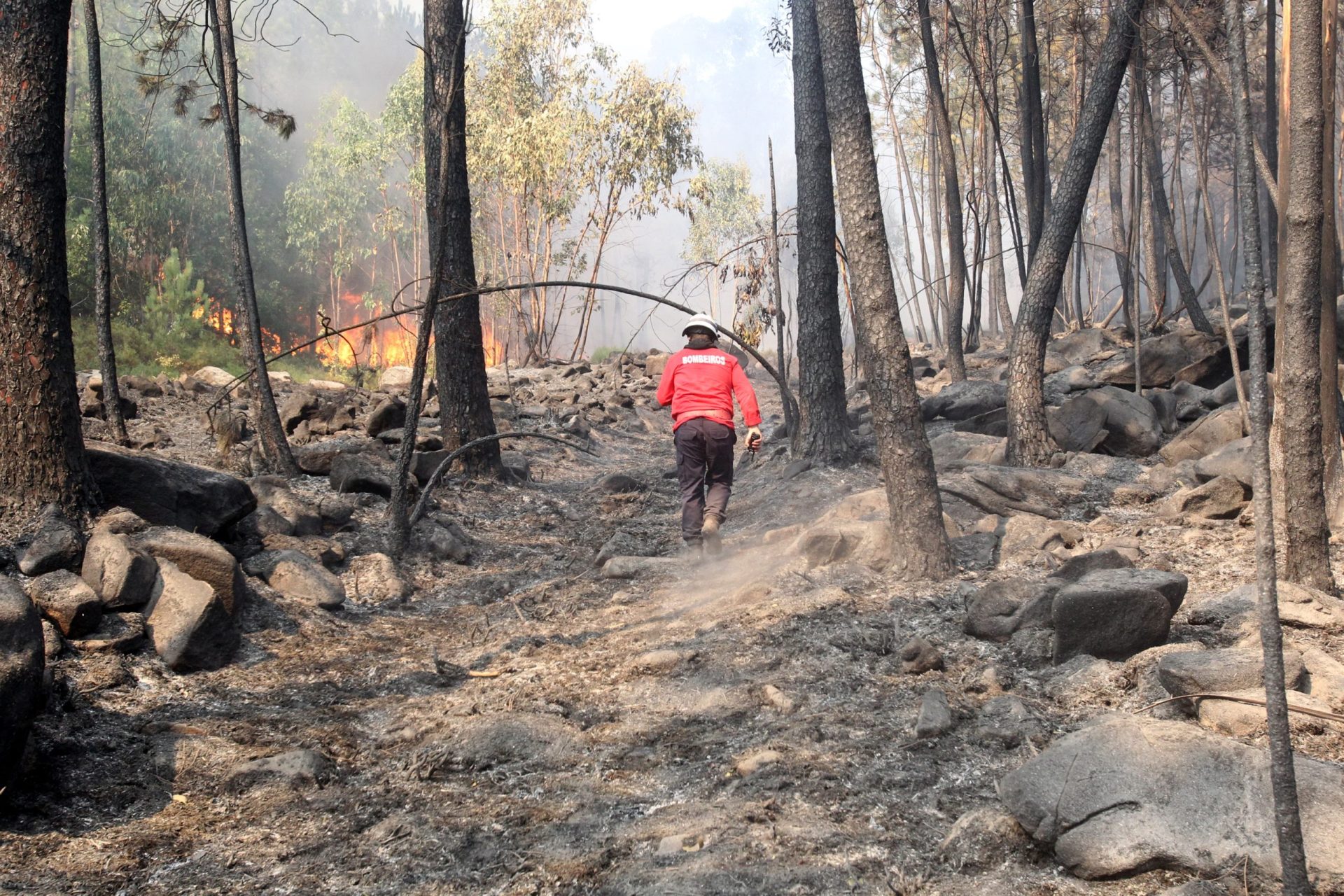 Incêndio em Oliveira de Azeméis propaga-se rapidamente e vai exigir “particular atenção” à noite