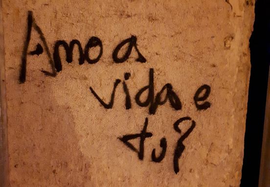 «Amo a vida e tu?»