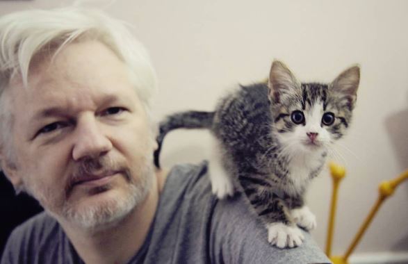 O que aconteceu ao gato de Julian Assange? | VÍDEO
