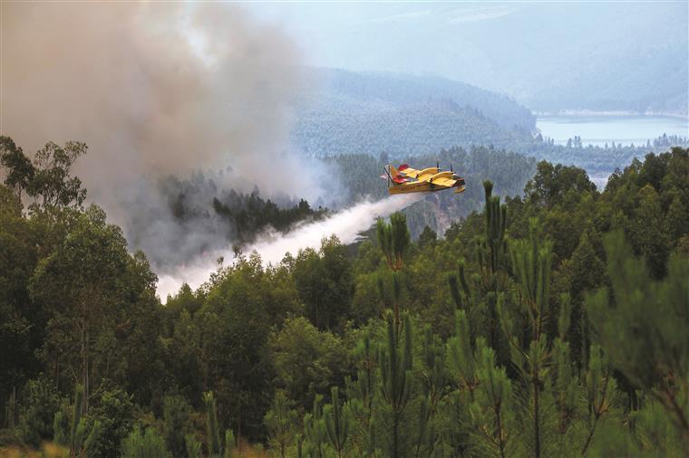 Eduardo Cabrita admite ajuste direto para assegurar meios áreos de combate a incêndios rurais