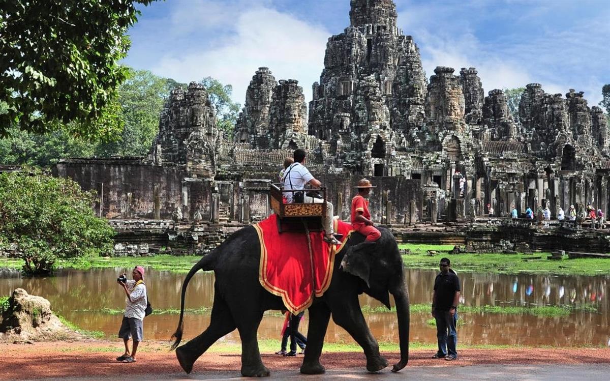 Petição leva Governo do Camboja a proibir passeios de elefantes