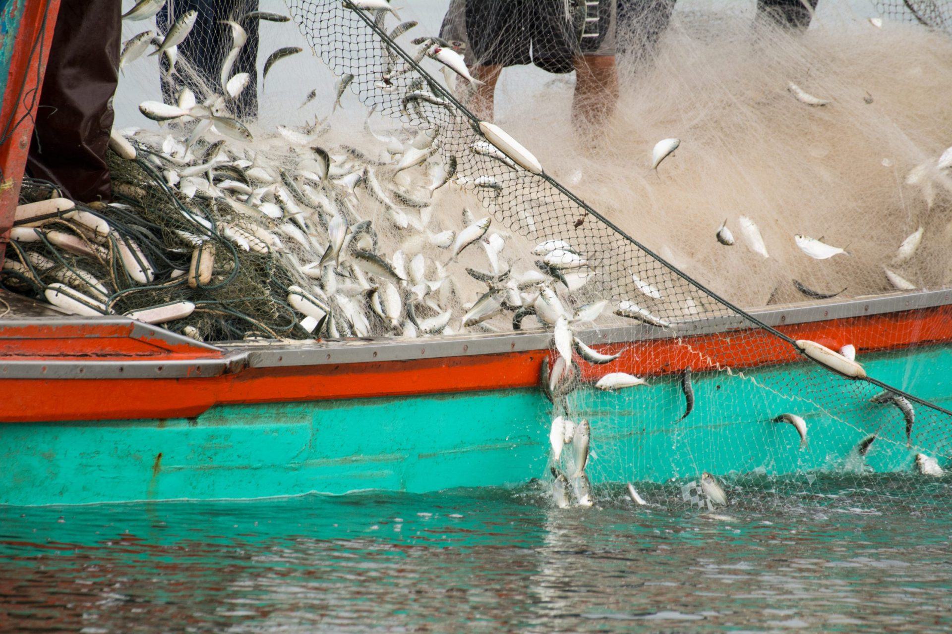 Decisão do TdC pode levar UE a suspender pescas em Portugal