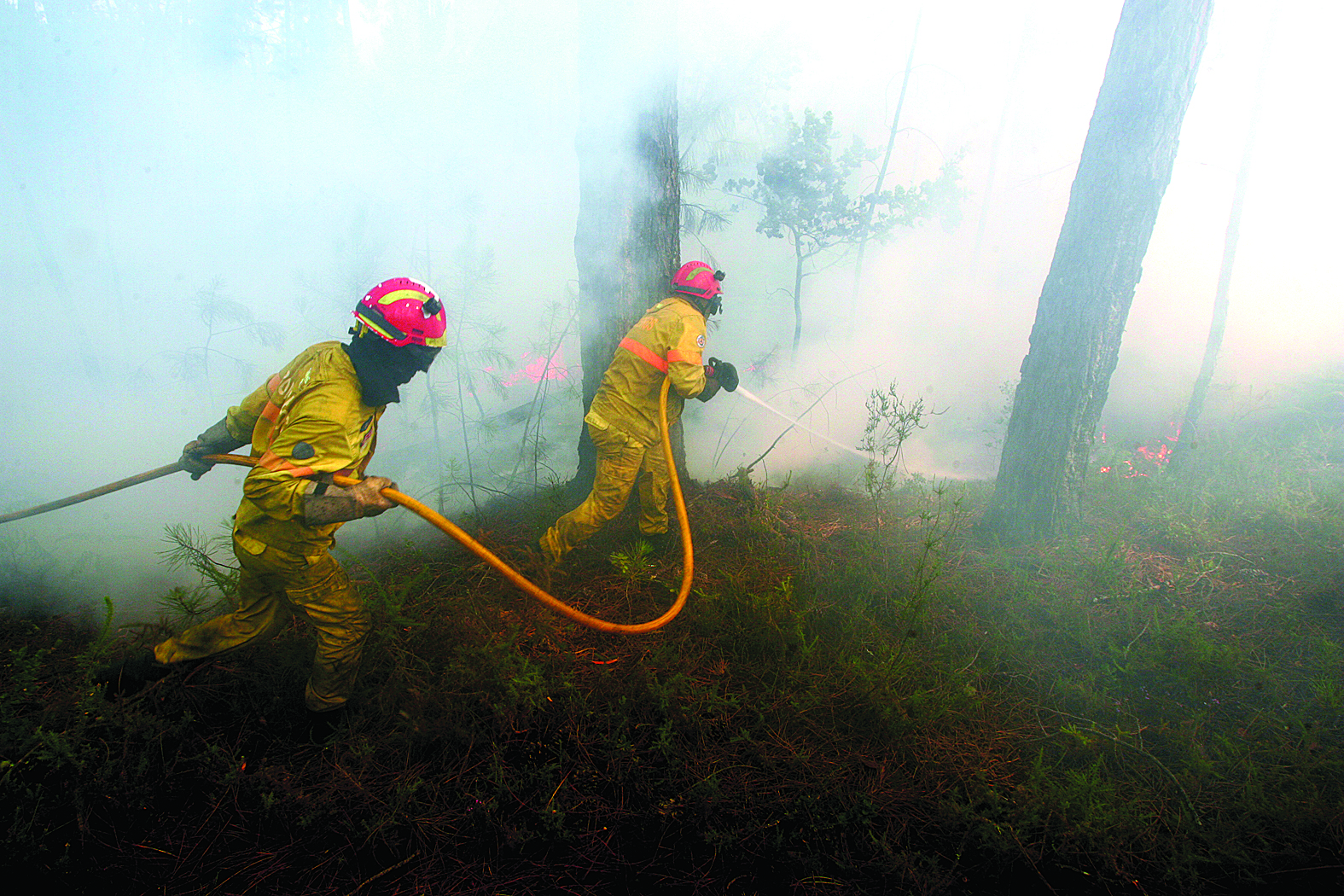 Incêndio em Elvas mobiliza três meios aéreos e mais de 100 bombeiros