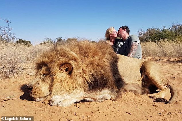 Fotografia de casal a dar um beijo à frente de um leão morto torna-se viral
