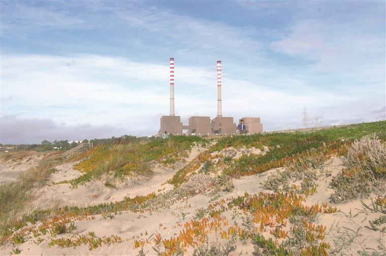 Associação ambientalista ‘Zero’ quer fim das centrais de carvão de Sines e Pego até 2023