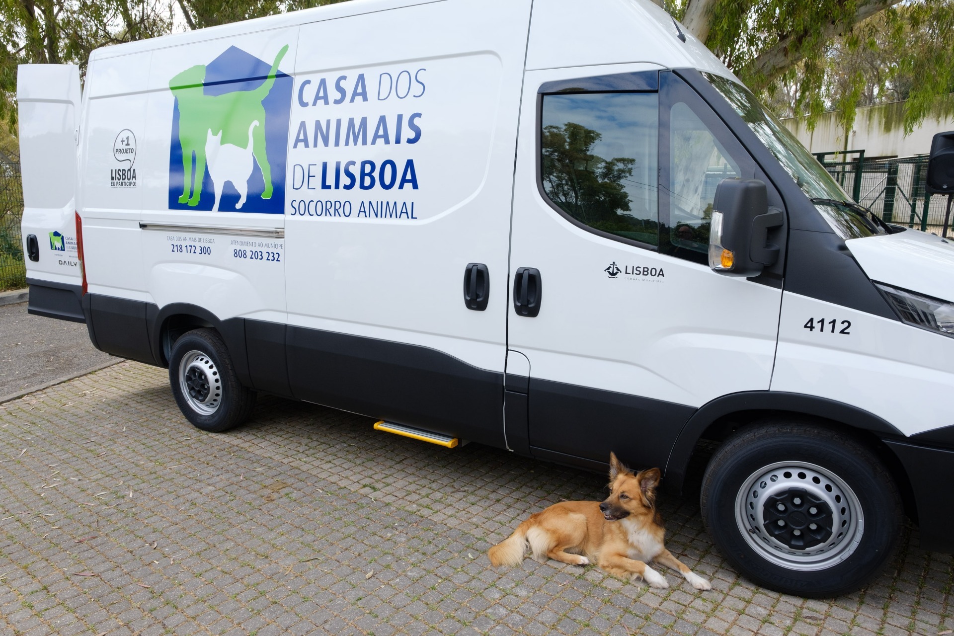 Lisboa tem uma nova ambulância de socorro para os animais