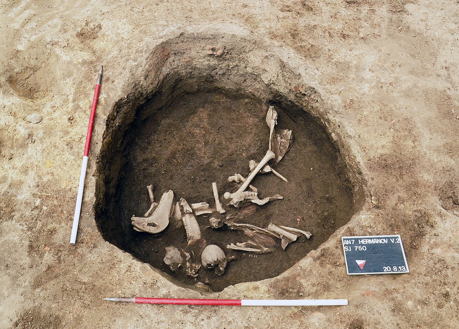 Equipa de cientistas liderada por investigador português descobre esqueletos de adolescentes do séc. V