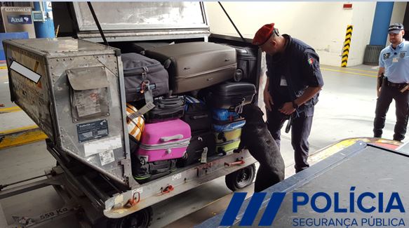 PSP faz operação no Aeroporto do Porto