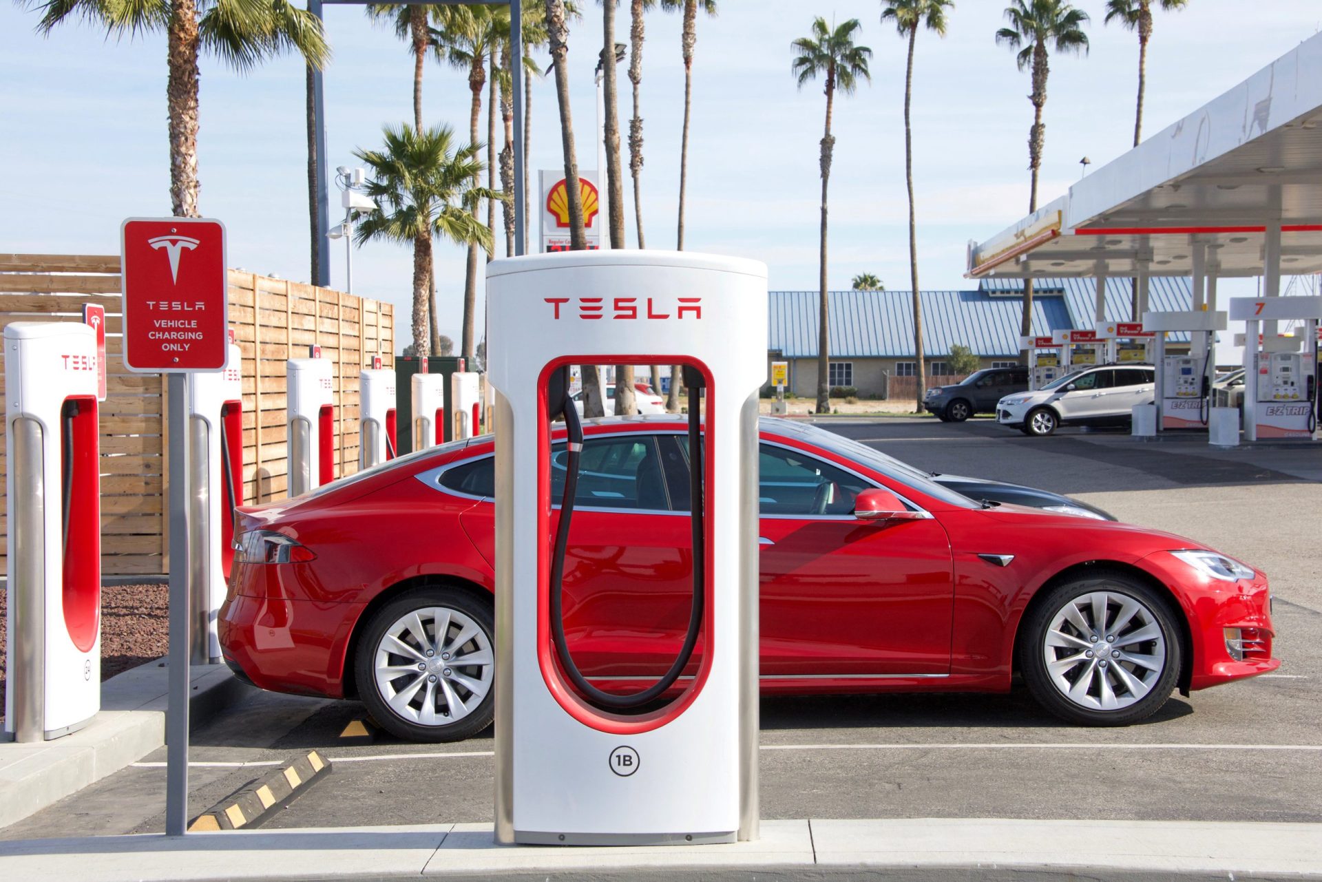 Alemanha poderá receber 1.ª fábrica da Tesla na Europa