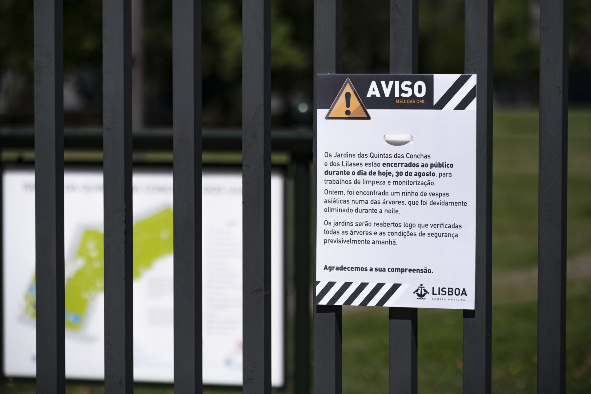 Parque da Quinta das Conchas em Lisboa encerrado após ter sido encontrado ninho de vespa asiática