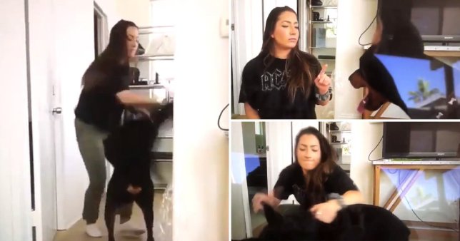 YouTuber agride cão e cospe para cima dele durante gravação I VÍDEO